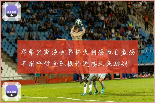 邓弗里斯谈世界杯失利感慨自豪感不减呼吁全队振作迎接未来挑战